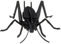Modèle en papier 3D FRIDOLIN - Cricket