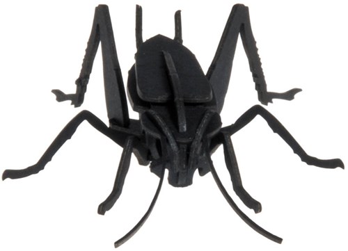 FRIDOLIN 3D Papier Model - Krekel