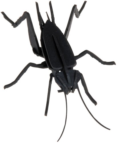 FRIDOLIN 3D Papier Model - Krekel-3