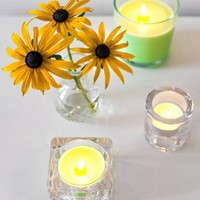 Maxilichten clear cup 8u True Scents Mimosa