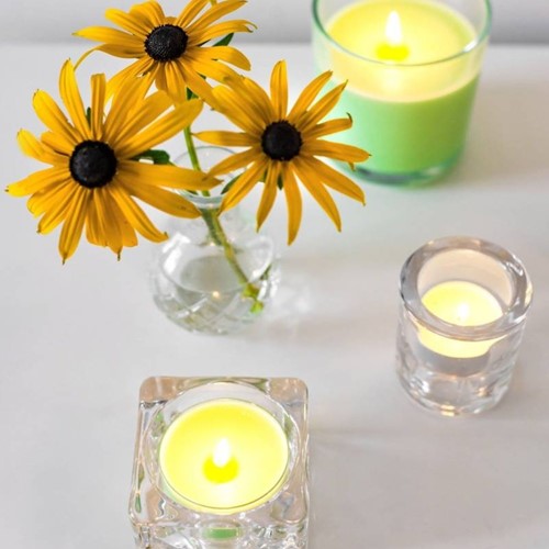 Maxilichten clear cup 8u True Scents Mimosa