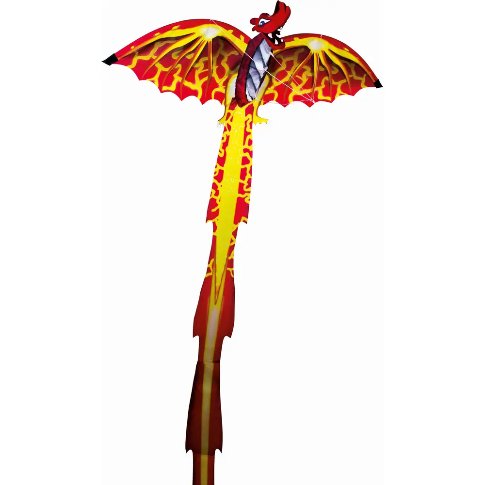 Günther vlieger 3D draak 102x320cm kleurrijk kinderspeelgoed