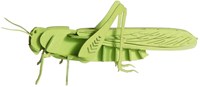 Modèle en papier 3D FRIDOLIN - Sauterelle