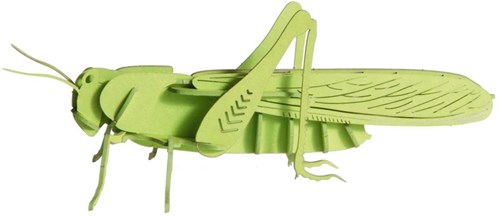 Modèle en papier 3D FRIDOLIN - Sauterelle