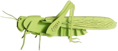 Modèle en papier 3D FRIDOLIN - Sauterelle-2