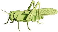 Modèle en papier 3D FRIDOLIN - Sauterelle-3