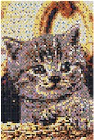 SES BEEDZ ART: Strijkkralen Poes-3