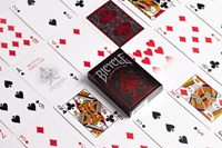 Bicycle cartes à jouer poker Shin Lim - jeu de magie - cartes premium-2