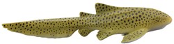 Requin zèbre COLLECTA - (M)