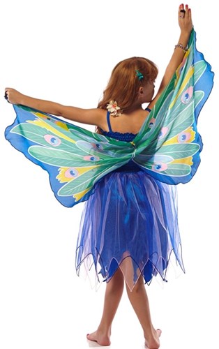 Dreamy Dress-Ups Jurk met Vleugels XS Pauw