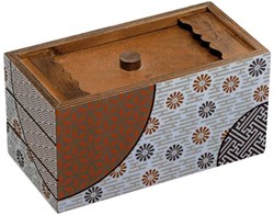 Philos puzzeldoos hersenkraker houten denkspel Secret Box Spring