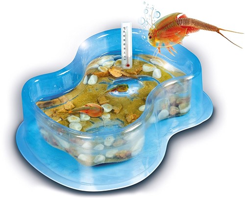 Clementoni Wetenschap Triops Kweken 7+-2