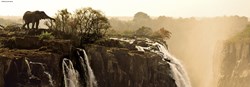 Heye legpuzzel olifant 1000 stukjes panorama dieren puzzel