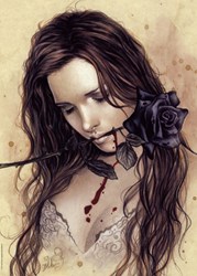 Heye Puzzel Dark Rose,Francés 1000