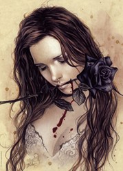 Heye Puzzel Dark Rose,Francés 1000