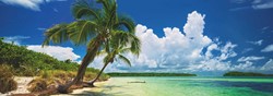 Heye Puzzel Puzz.Paradise Palm 2000 Pa.