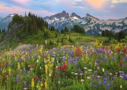 Heye Puzzel Puz. Tatoosh Mountain 2000