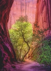 Heye Puzzel: Zingende Canyon 1000