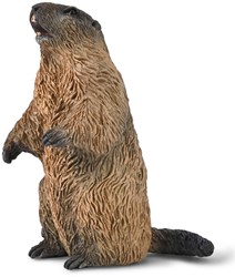 Collecta Marmot speelfiguur - realistisch handgeschilderd speelgoed