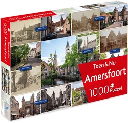 Tucker's Fun Factory puzzle Amersfoort 1000 pièces puzzle ville