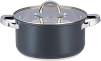 Alpina kookpan inductie met glazen deksel 22cm 4.7L - RVS pan
