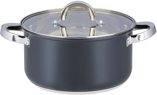 Alpina kookpan inductie met glazen deksel 22cm 4.7L - RVS pan