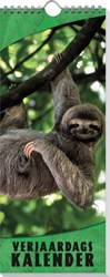 Image Books calendrier d'anniversaire animaux 13x33cm reliure anneaux colorée