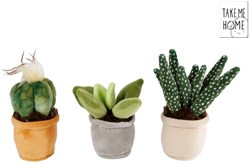 Knuffel plant pluche speelgoed - Take Me Home - 12-17cm - decoratie