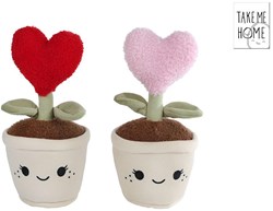 Plante peluche cœur 27cm - peluche douce et câline