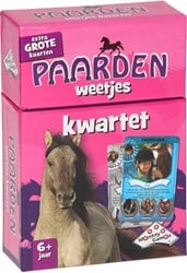 Identity Games Paarden Kwartet