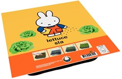 Nijntje Kruiden Kweekset Sla.