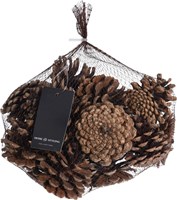 Dennenappel set decoratie bruin 300 gram - natuurlijke sfeer in huis