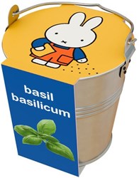 Nijntje Kruiden in zinken emmertje Basilicum.
