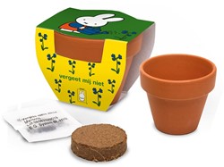 Nijntje Nijntje Terracota Pot Vergeet Mij Niet.