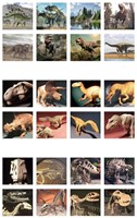 Ambo projector speelgoedlamp dinosaurus groen educatief USB-3