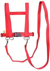 Dusyma speelgoed paardenlijn rood - rollenspel accessoire voor kinderen