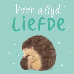 Boek Voor Altijd Liefde
