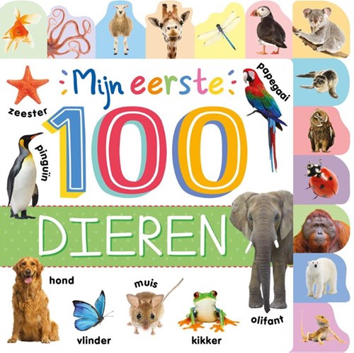 Rebo livre d'animaux tout-petits - livre éducatif cartonné 1 an+