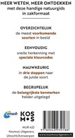 Kosmos guide des insectes pour enfants - Découvre le monde des insectes-2