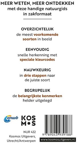 Kosmos guide des insectes pour enfants - Découvre le monde des insectes-2