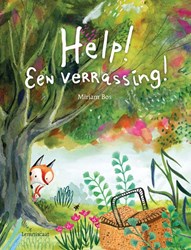 Lemniscaat livre illustré Help! Une surprise! amitié colorée 4+