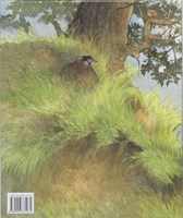 Lemniscaat - Kinderboek Een gat in mijn emmer 3+ prentenboek-2