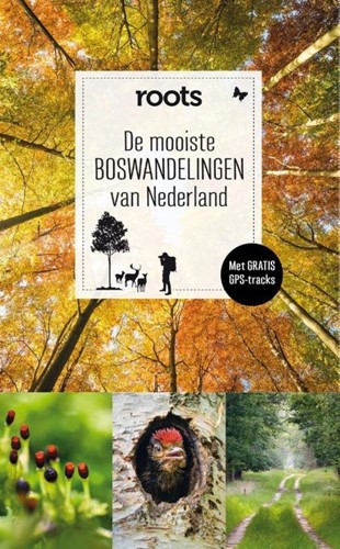 Fontaine Uitgevers De mooiste boswandelingen van Nederland. (pb)