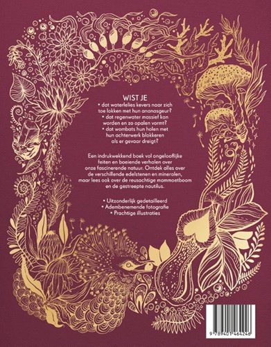 Terra Lannoo livre nature Le grand livre de notre nature exceptionnelle-2