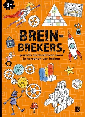 Ballon breinbrekers puzzelboek voor kinderen 8+ logisch denken
