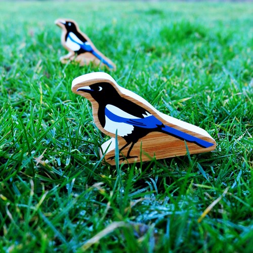 Lanka Kade Magpie (moyenne)-2