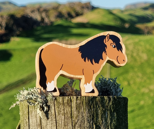 Lanka Kade Lanka Kade - Shetland Pony (medium)-2