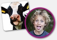 Na-Apen Gekke Dieren Meme Spel-2