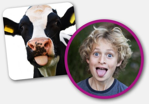 Na-Apen Gekke Dieren Meme Spel-2