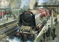 Gibsons Spotters at Carlisle (1000)-2